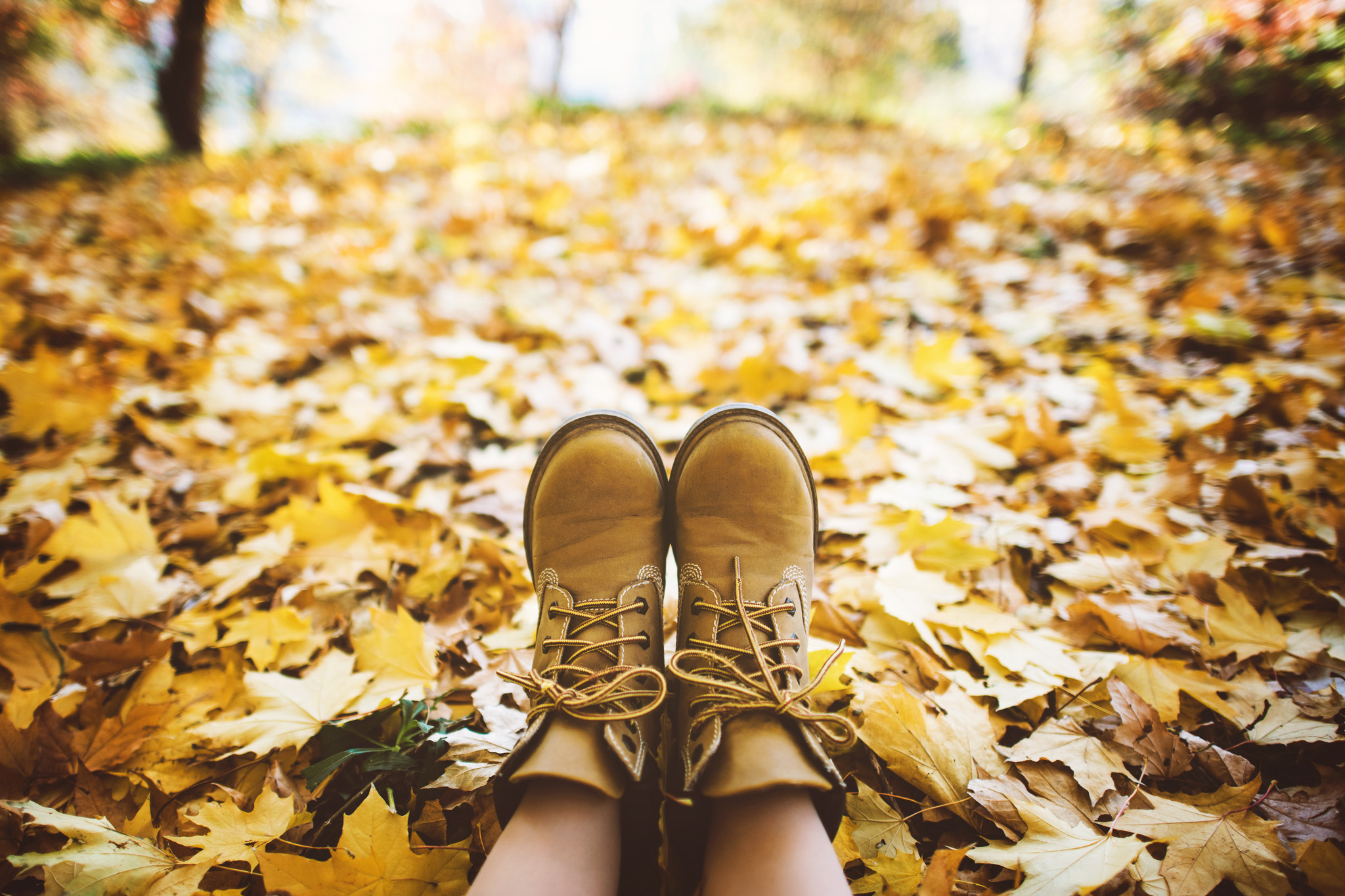 Shutterstock_skor i höstlöv