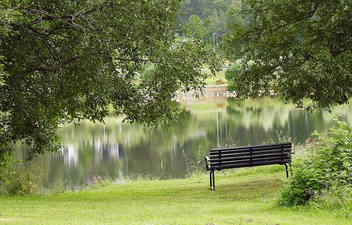 En parkbänk som står på gräsmattan vänd mot Skurholmsfjärden 